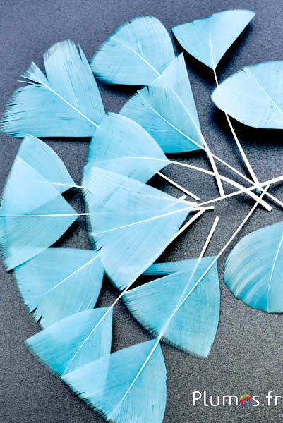 Pétales en plumes - 6-8 x 3-4 cm - glace
